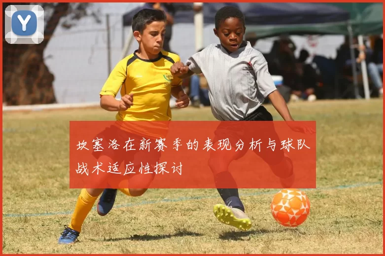 坎塞洛在新赛季的表现分析与球队战术适应性探讨