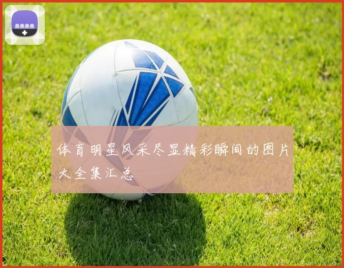 体育明星风采尽显精彩瞬间的图片大全集汇总